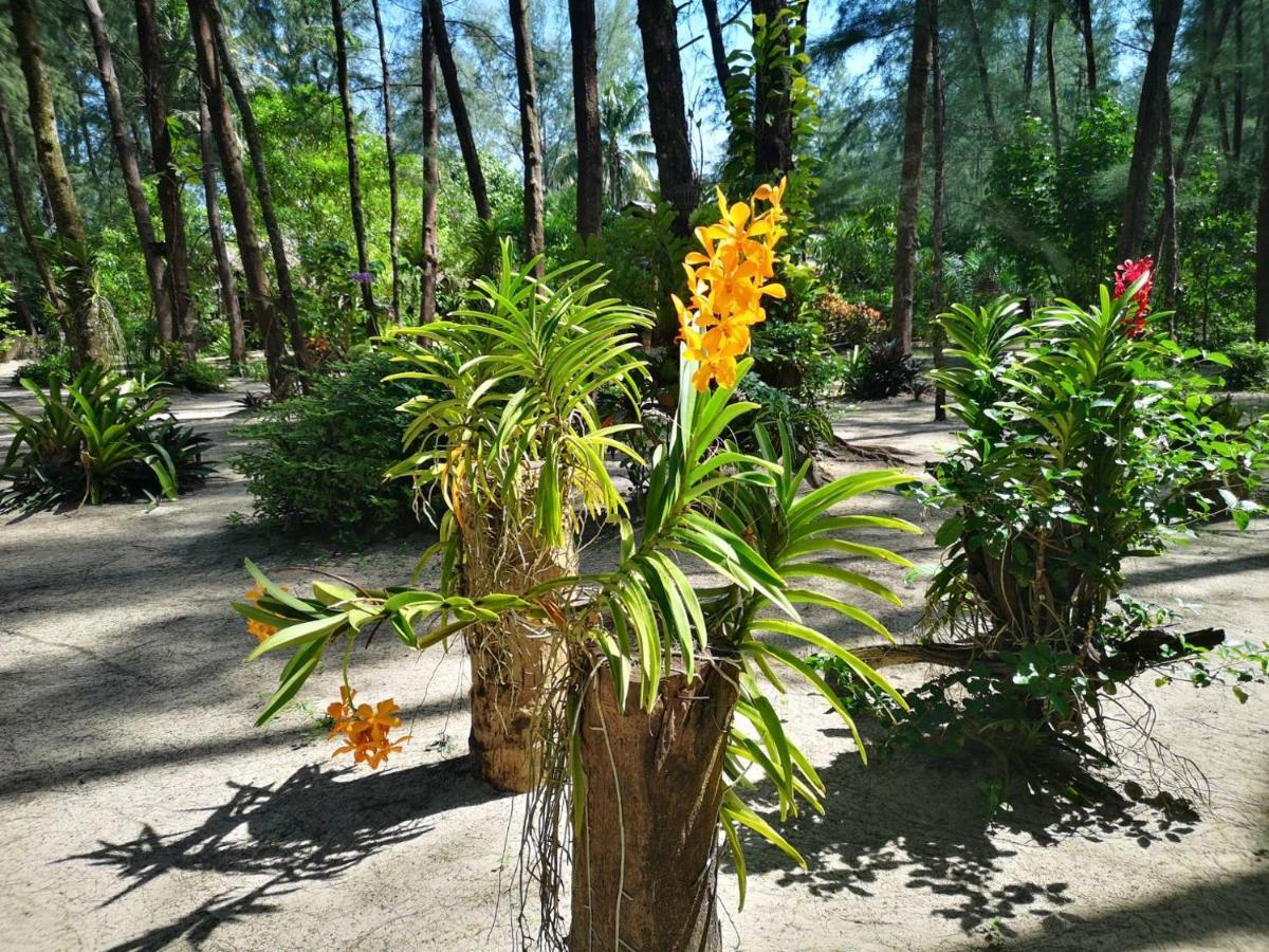 Hapla Beach Cottage Koh Kho Khao Island Kültér fotó